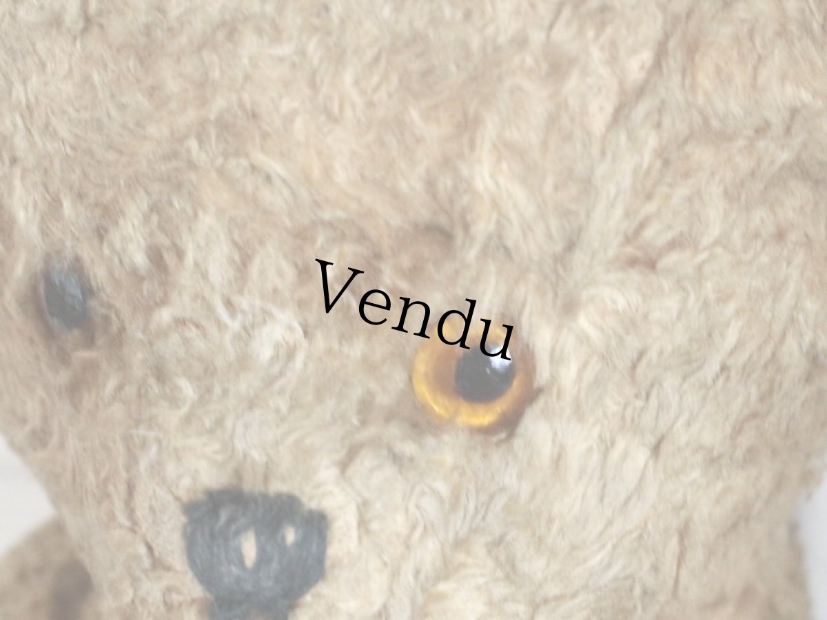 画像3: Antique Shabby Bear / 17in (3)