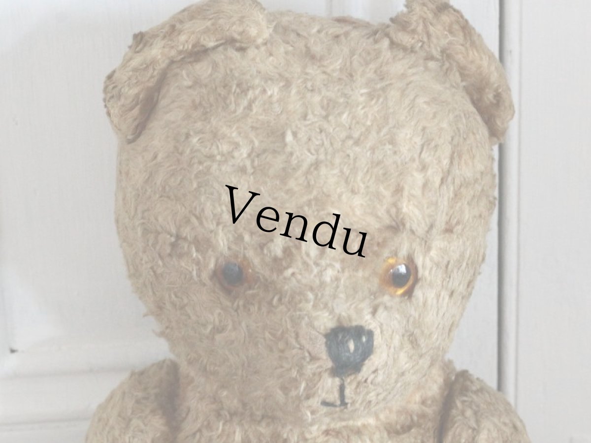 画像2: Antique Shabby Bear / 17in (2)
