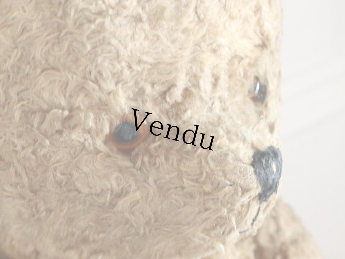 画像4: Antique Shabby Bear / 17in (4)