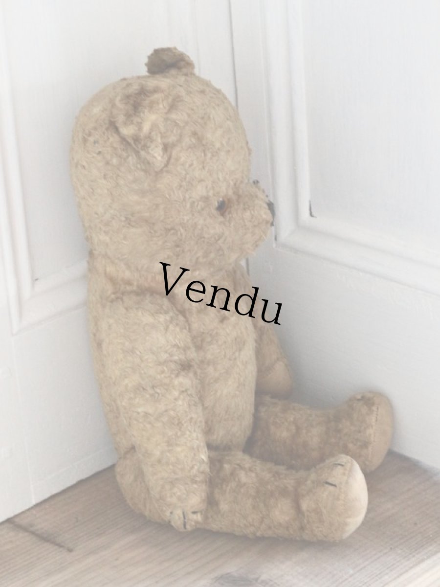 画像9: Antique Shabby Bear / 17in (9)