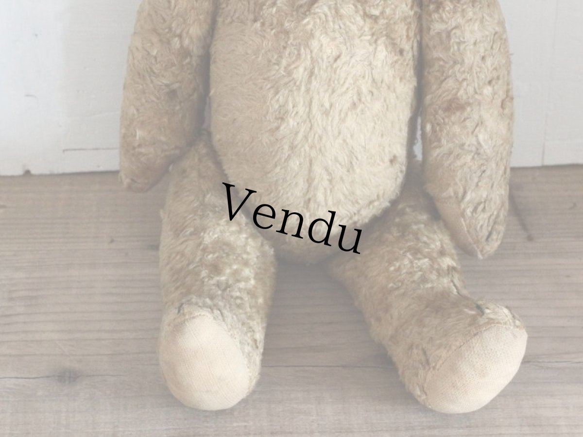 画像6: Antique Shabby Bear / 17in (6)