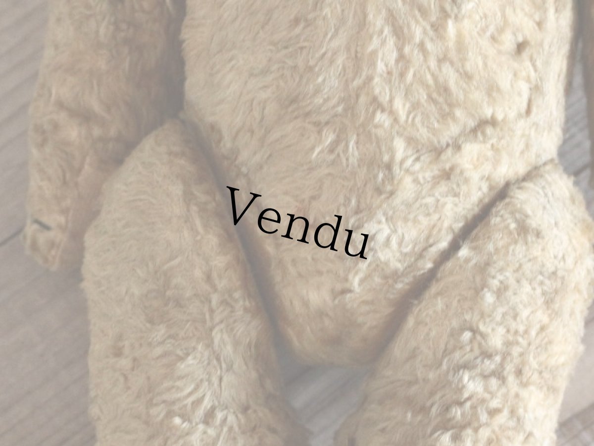 画像11: Antique Shabby Bear / 17in (11)
