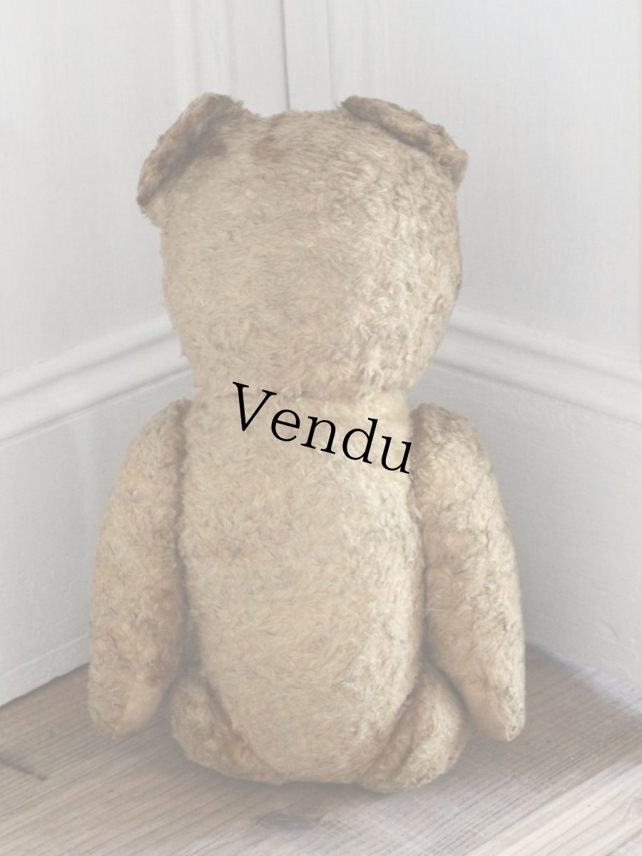 画像10: Antique Shabby Bear / 17in (10)
