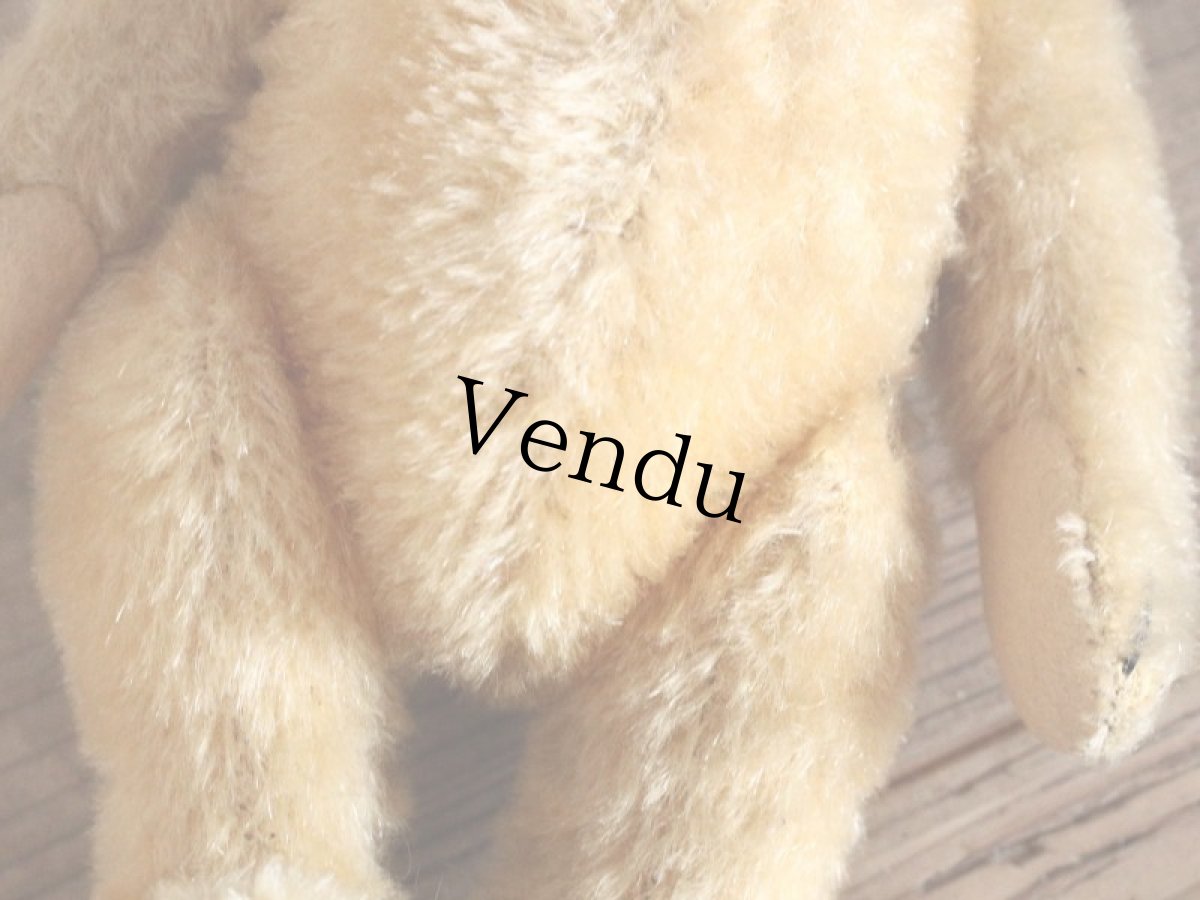 画像10: Antique Steiff Bear / 8in /Germany (10)