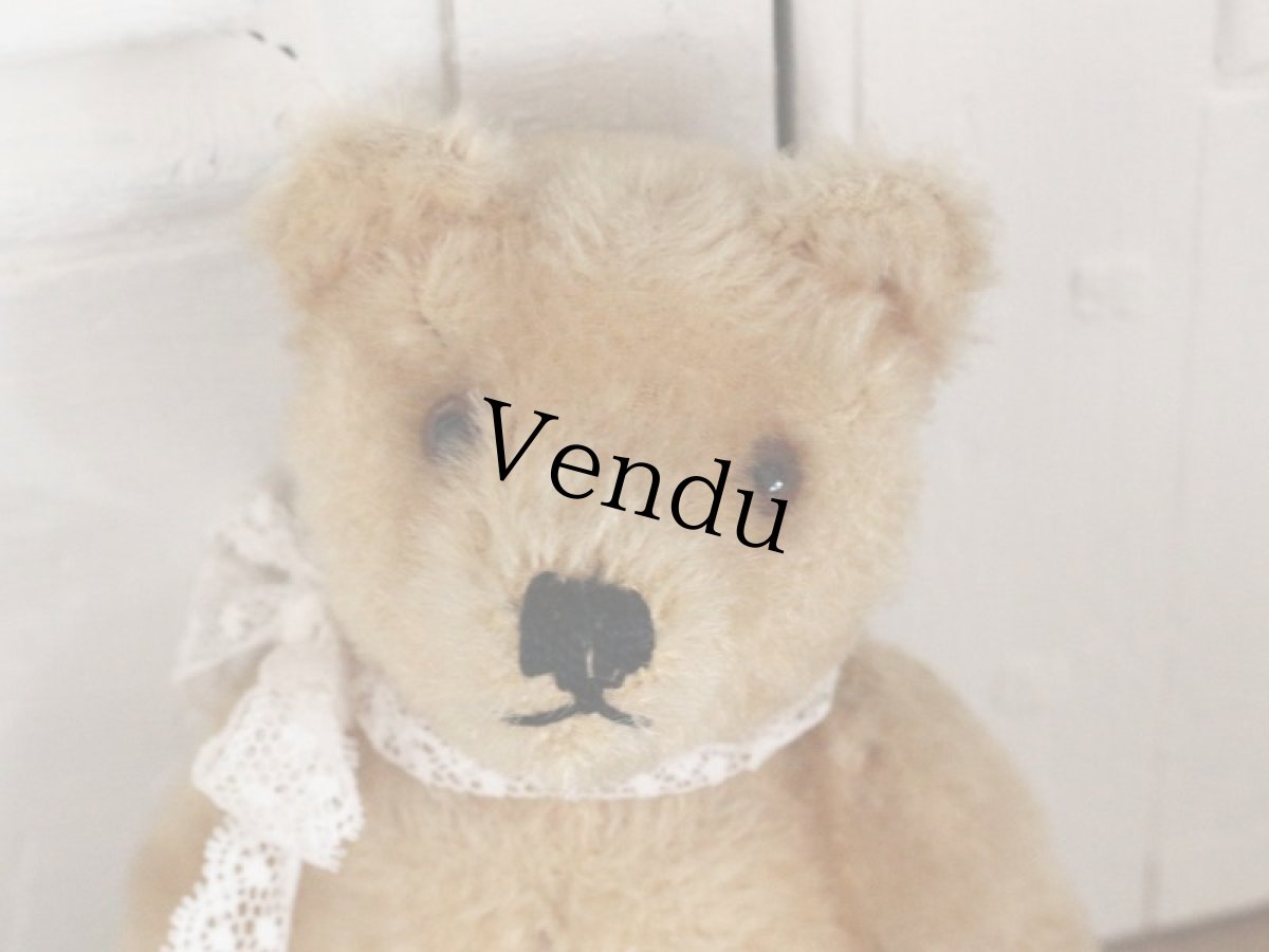 画像2: Antique Steiff Bear / 8in /Germany (2)