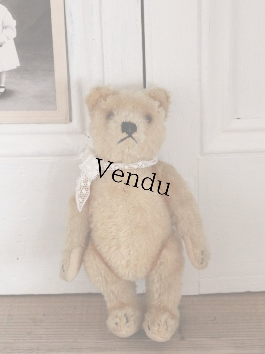 画像11: Antique Steiff Bear / 8in /Germany (11)