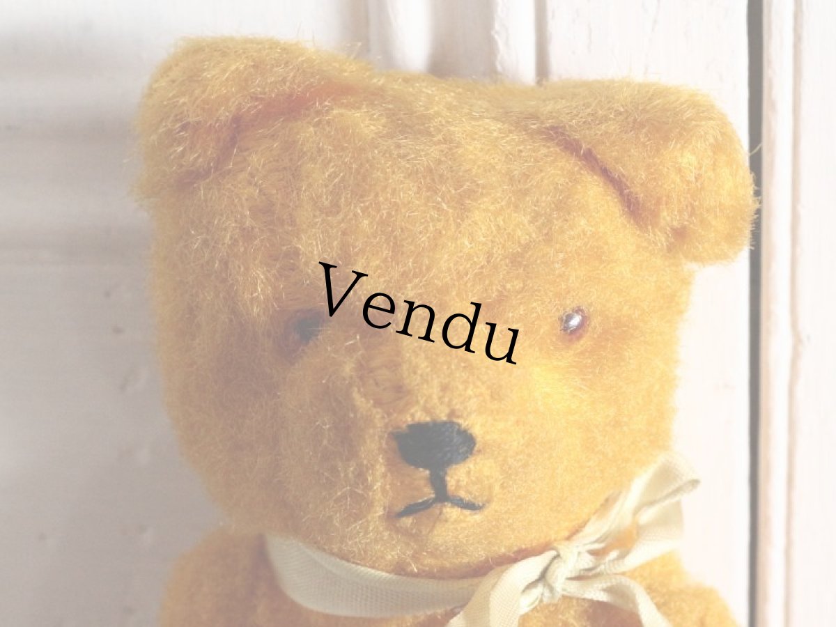 画像2: Antique Bear / 10in / French (2)