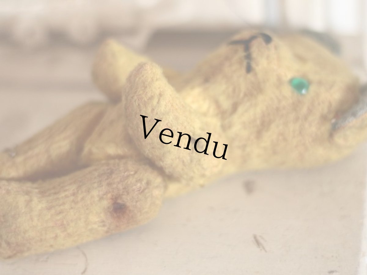 画像8: Le Jouet Paris Massy /J.P.M. Bear/French (8)