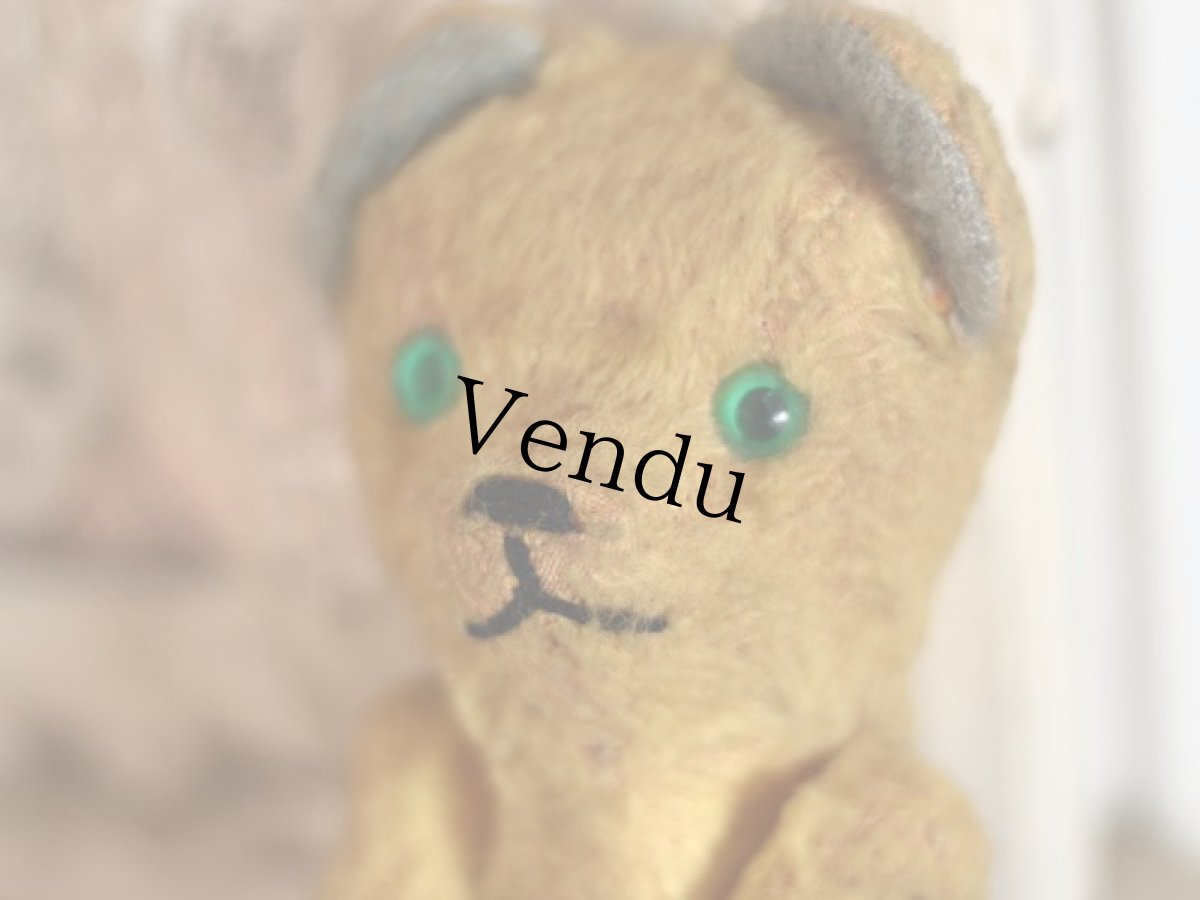 画像3: Le Jouet Paris Massy /J.P.M. Bear/French (3)