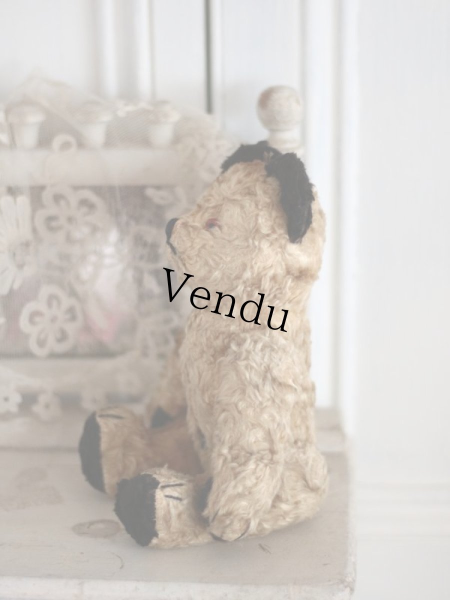 画像7: SOOTY BEAR / British (7)