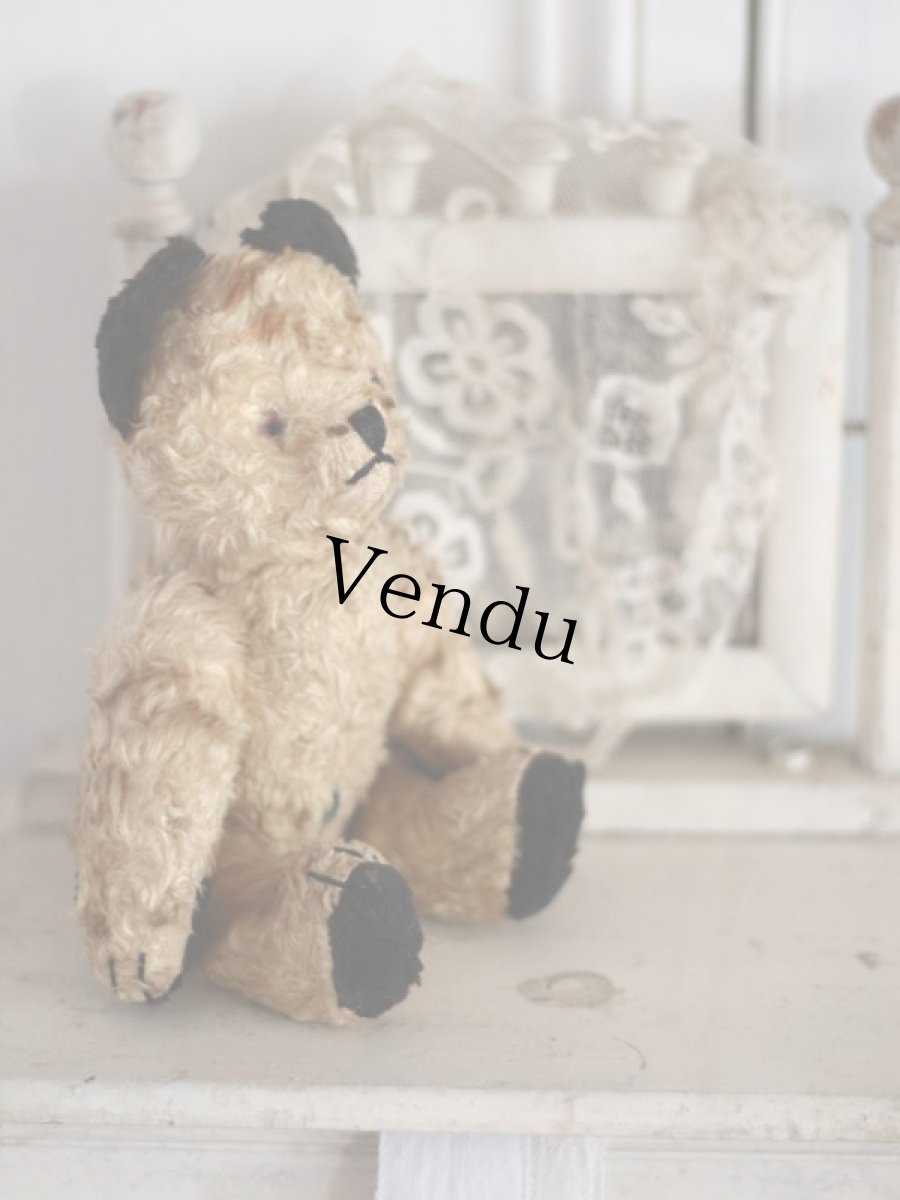 画像8: SOOTY BEAR / British (8)