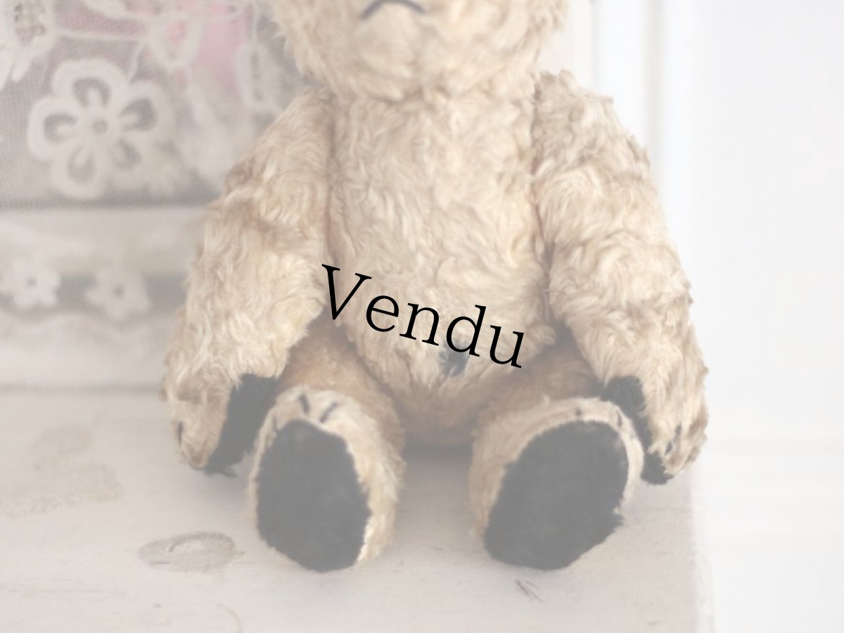 画像5: SOOTY BEAR / British (5)