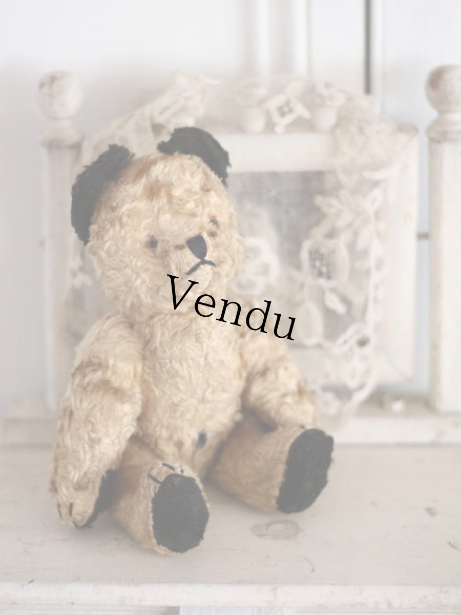 画像10: SOOTY BEAR / British (10)