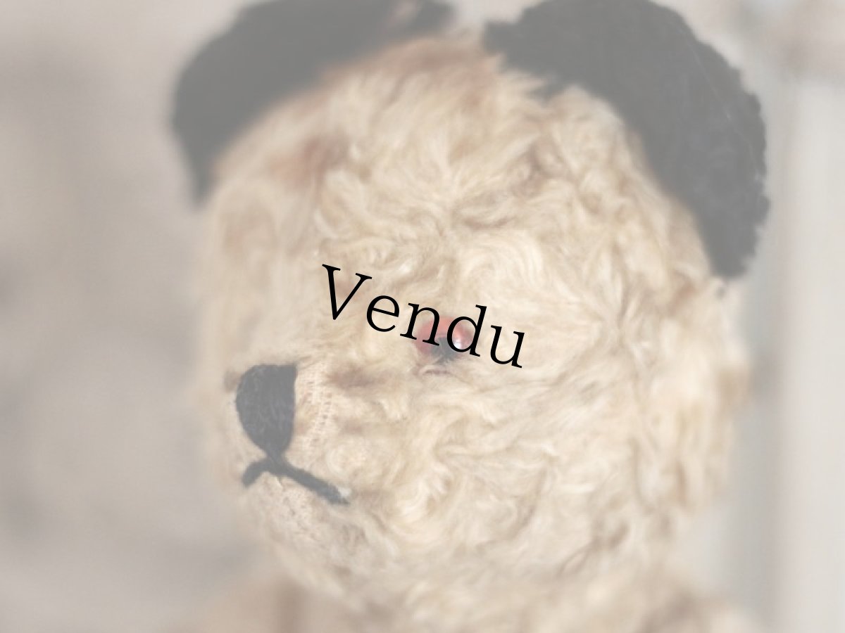 画像4: SOOTY BEAR / British (4)