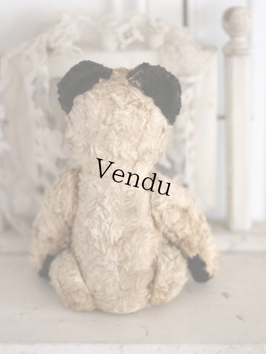 画像9: SOOTY BEAR / British (9)