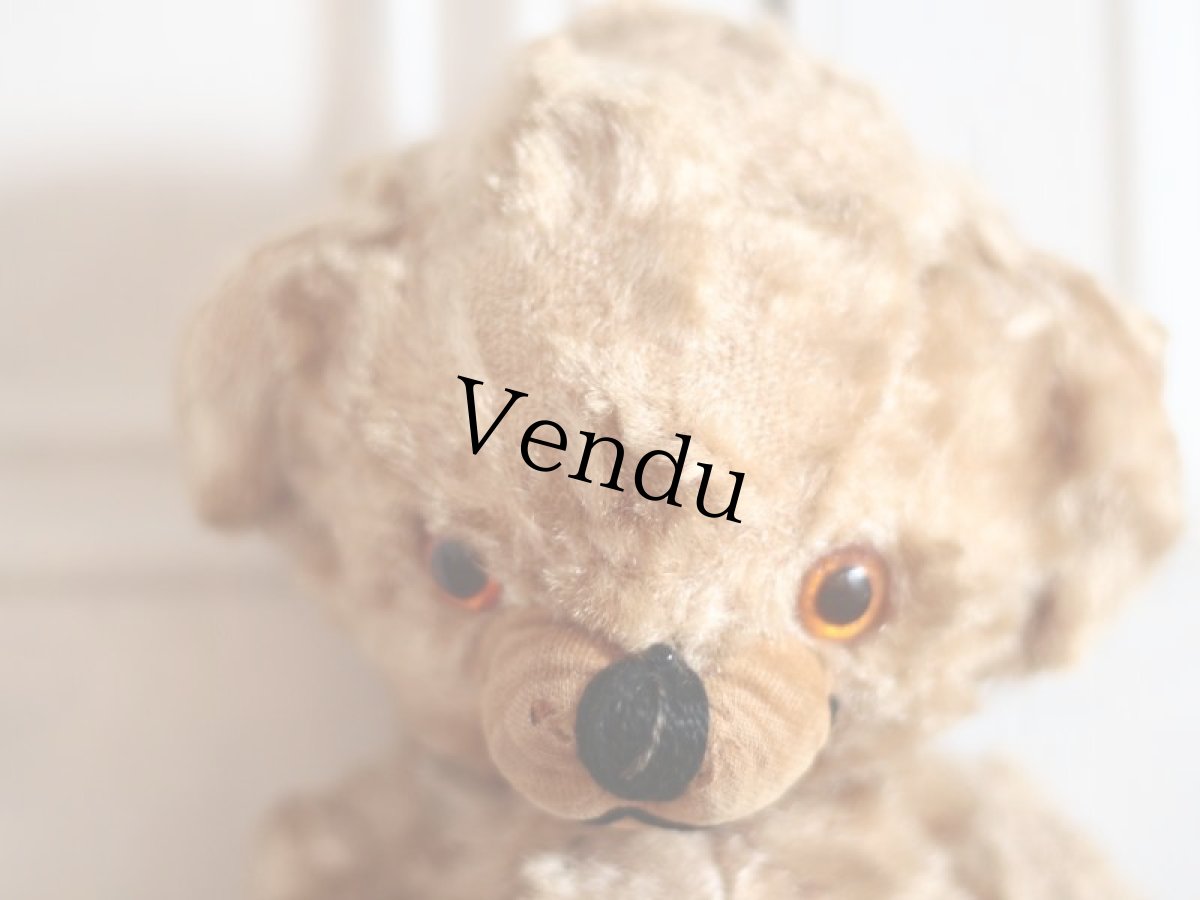 画像3: Kさま専用カートです。/Rare!Merrythought Cheeky Bear /11in /British (3)