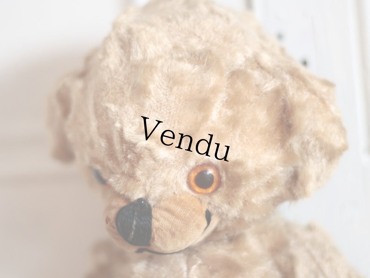 画像5: Kさま専用カートです。/Rare!Merrythought Cheeky Bear /11in /British (5)