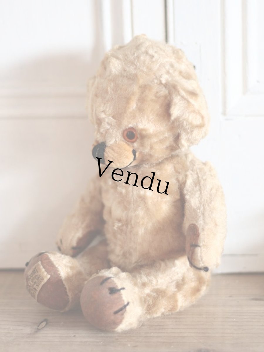 画像9: Kさま専用カートです。/Rare!Merrythought Cheeky Bear /11in /British (9)