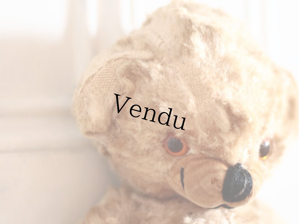 画像4: Kさま専用カートです。/Rare!Merrythought Cheeky Bear /11in /British (4)