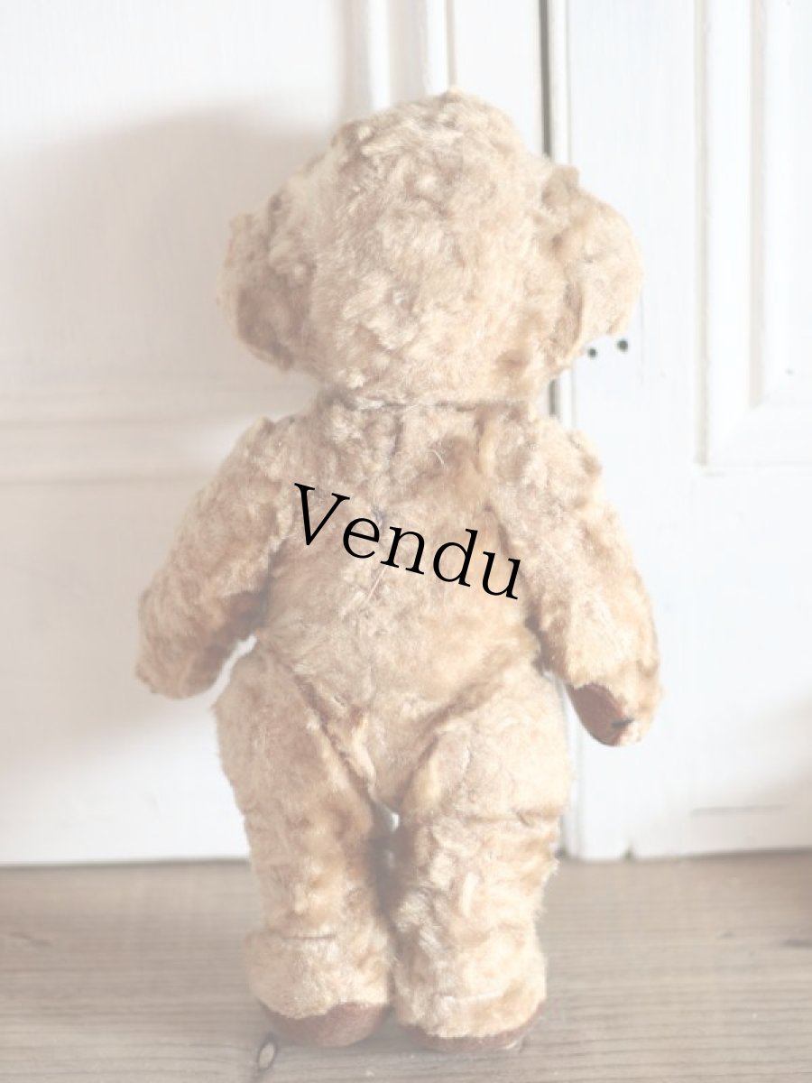 画像10: Kさま専用カートです。/Rare!Merrythought Cheeky Bear /11in /British (10)