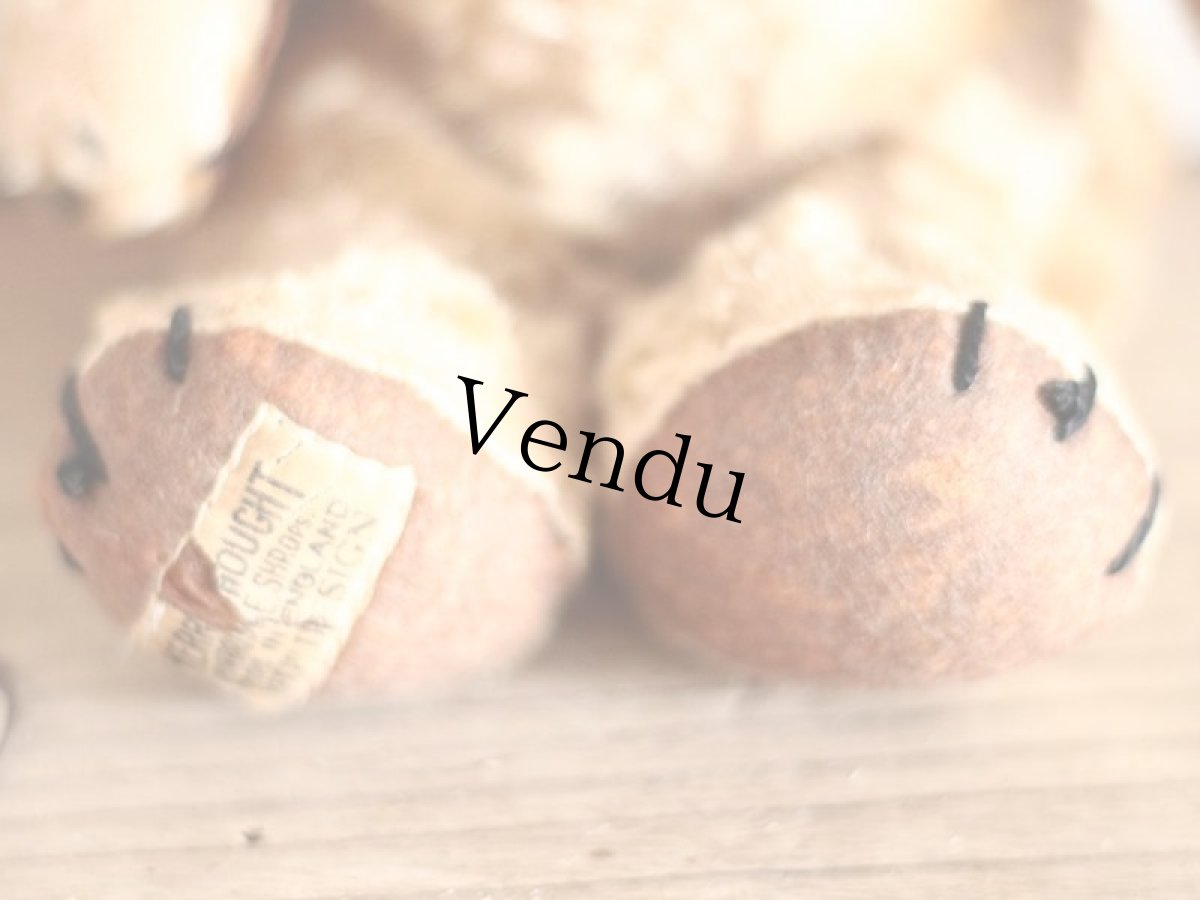 画像7: Kさま専用カートです。/Rare!Merrythought Cheeky Bear /11in /British (7)