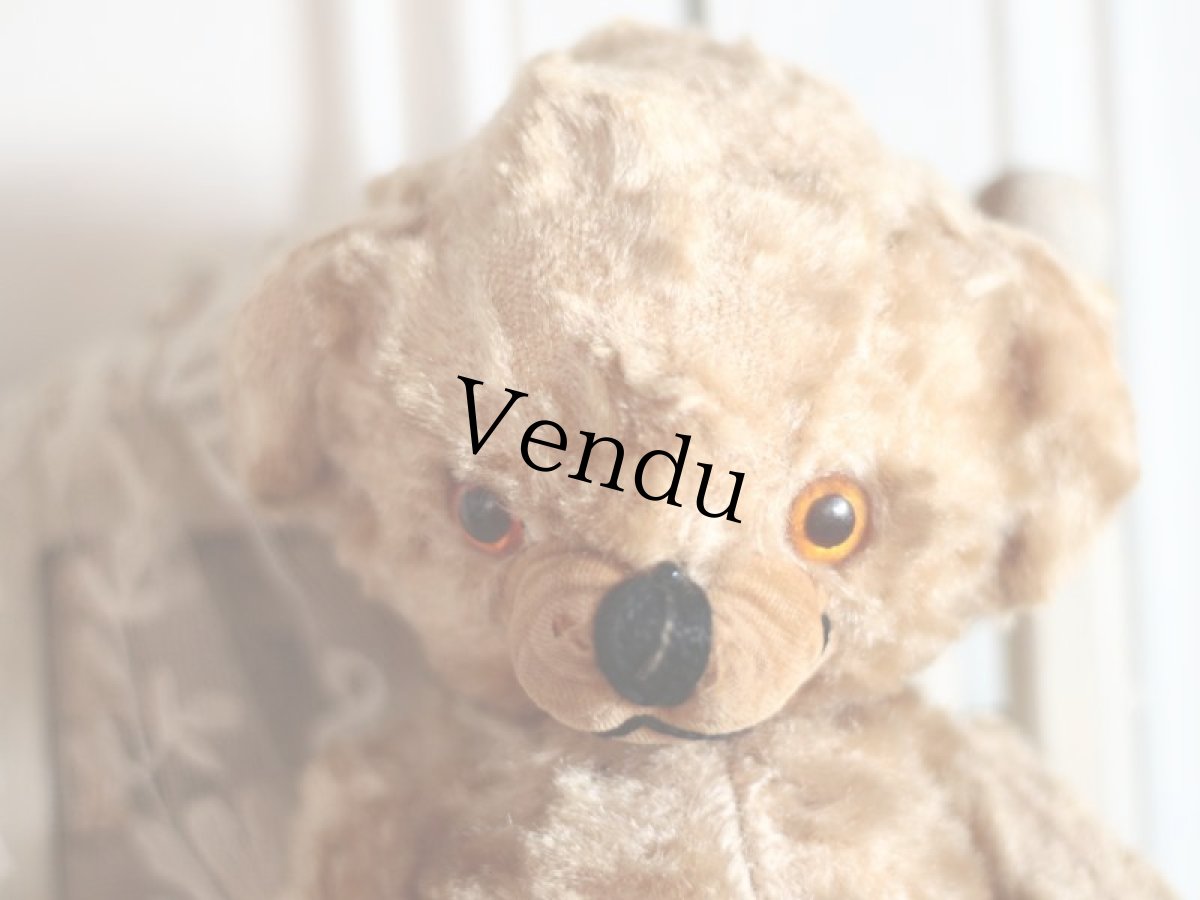 画像2: Kさま専用カートです。/Rare!Merrythought Cheeky Bear /11in /British (2)