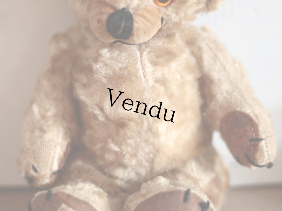 画像6: Kさま専用カートです。/Rare!Merrythought Cheeky Bear /11in /British (6)