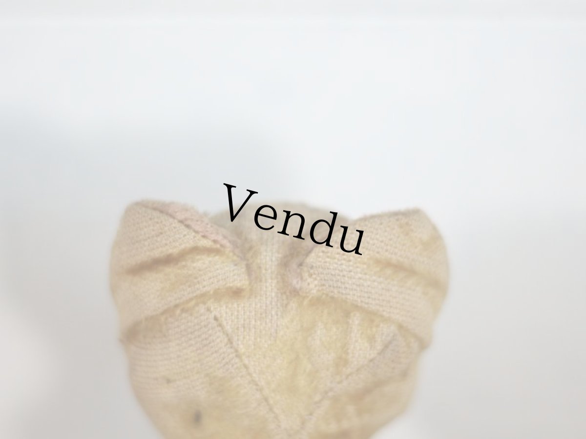 画像10: French Bear Cat???/ 6in /France (10)