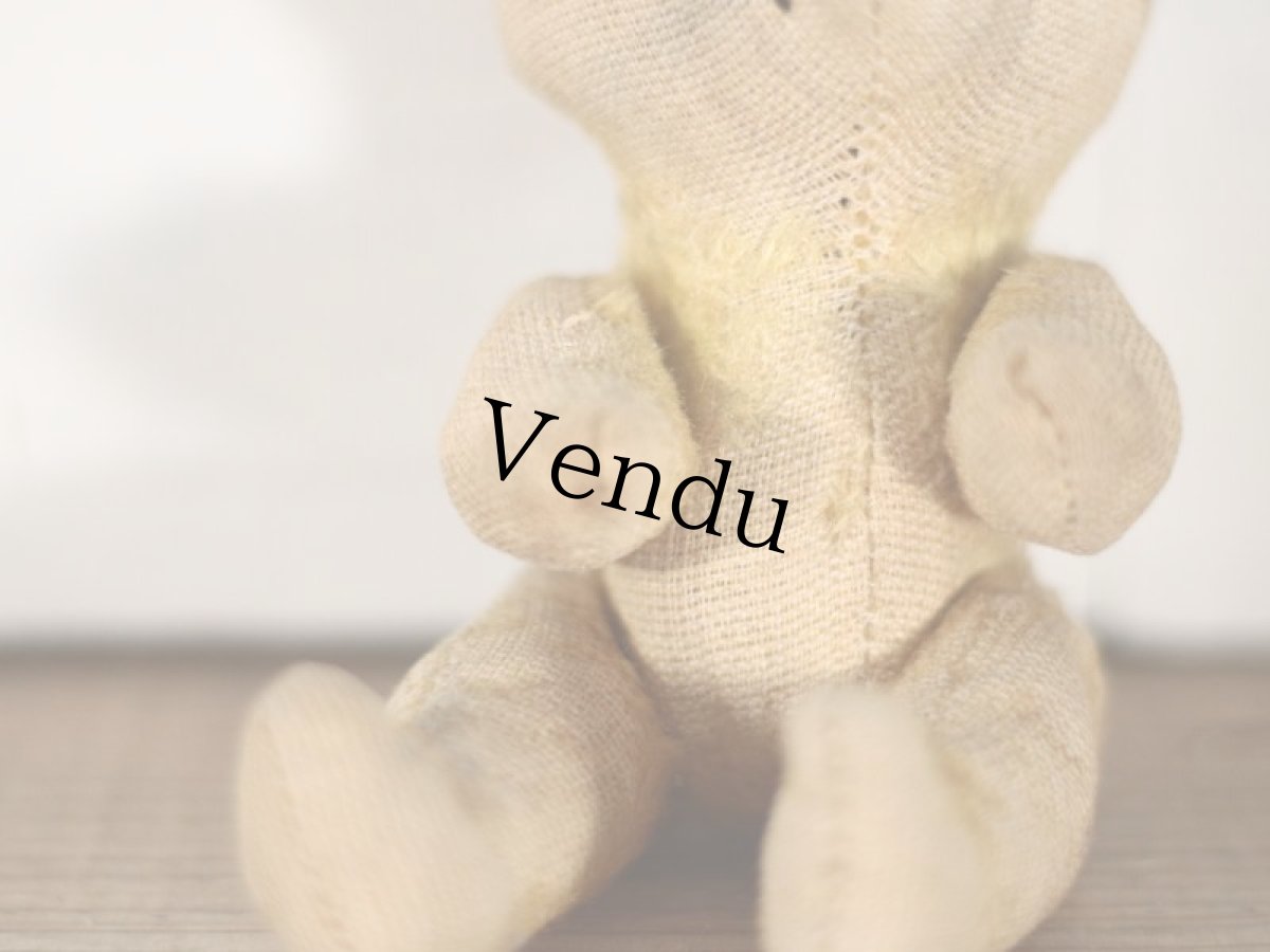 画像5: French Bear Cat???/ 6in /France (5)