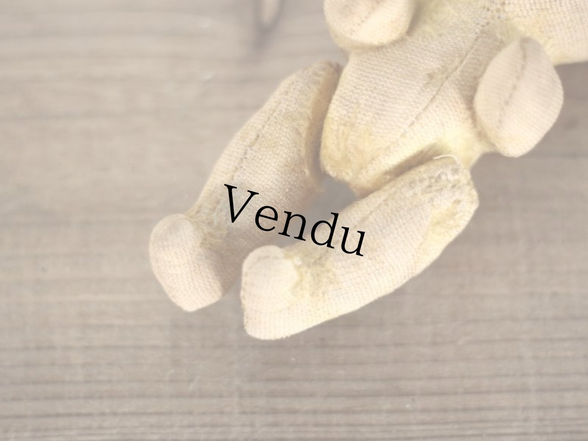 画像12: French Bear Cat???/ 6in /France (12)