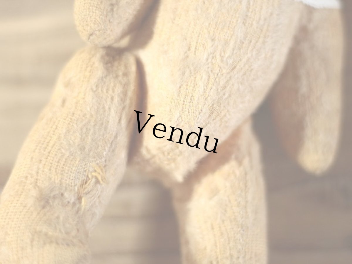 画像10: Le Jouet Paris Massy /M size /J.P.M. Bear /French (10)