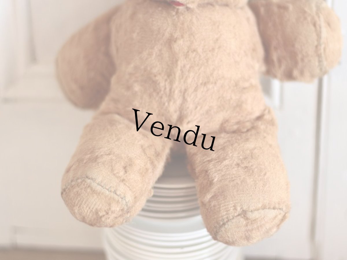 画像6: Character Bear /ear tag/11.5in (6)