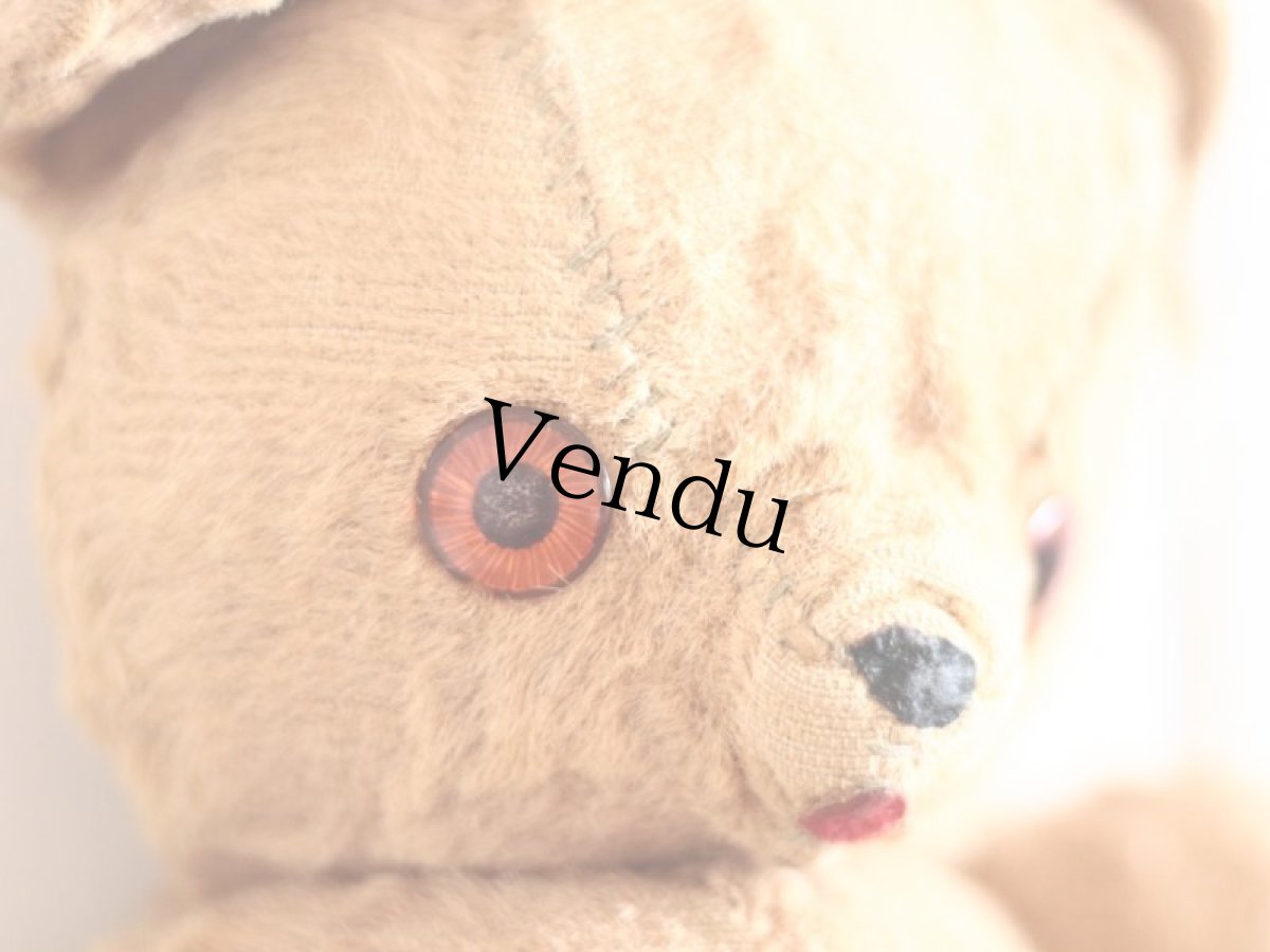 画像3: Character Bear /ear tag/11.5in (3)