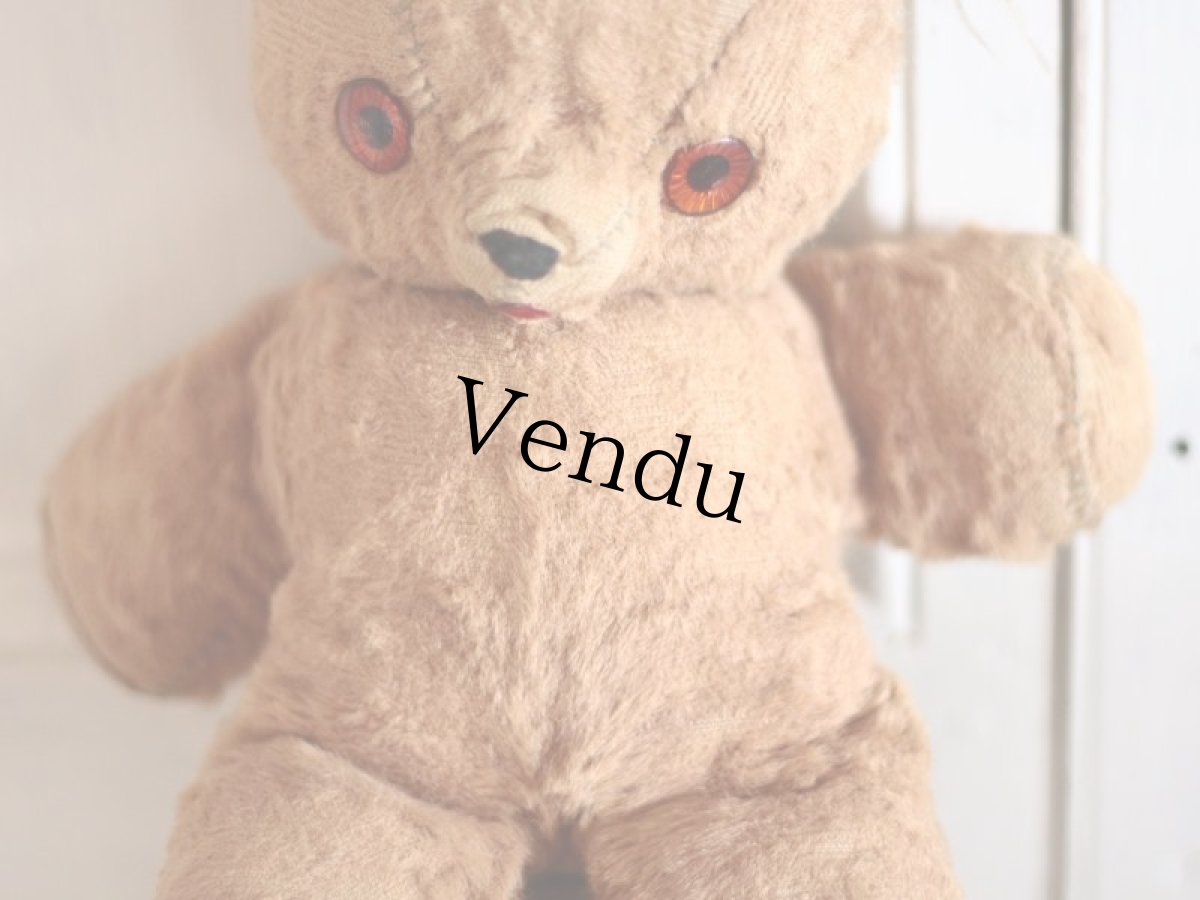 画像5: Character Bear /ear tag/11.5in (5)