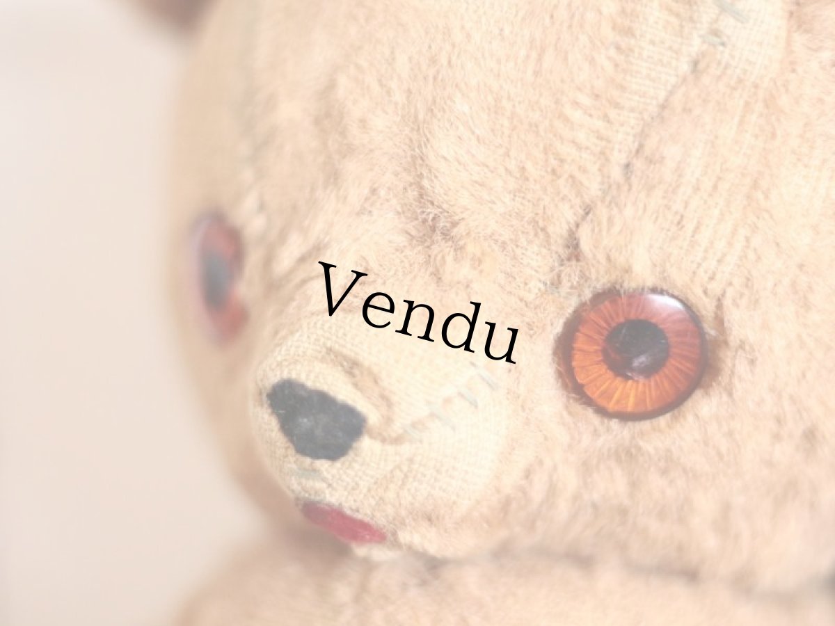 画像4: Character Bear /ear tag/11.5in (4)