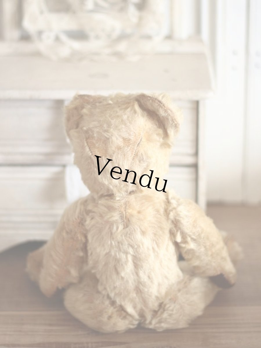 画像9: Size Cute! Chad Valley Bear /12in /British (9)