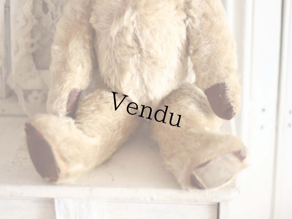 画像6: Size Cute! Chad Valley Bear /12in /British (6)