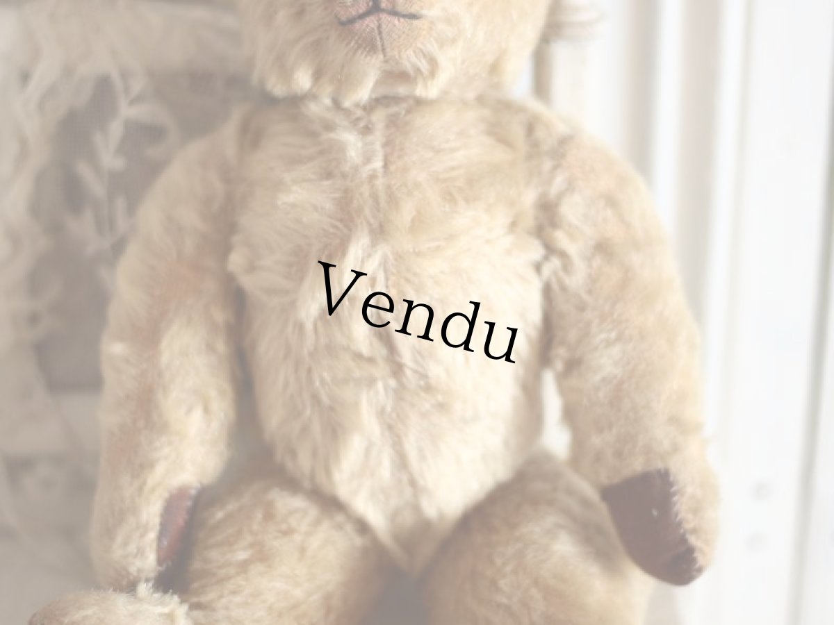 画像5: Size Cute! Chad Valley Bear /12in /British (5)