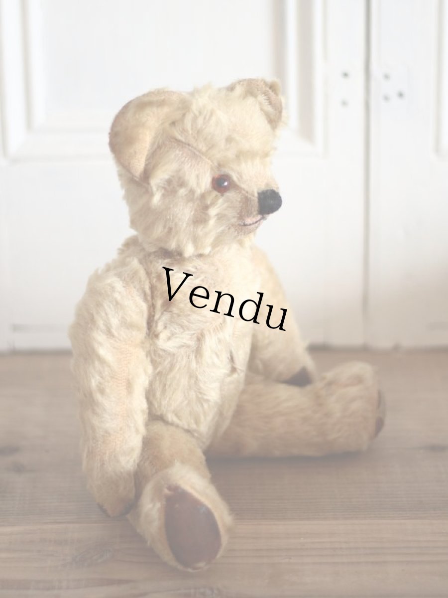 画像7: Size Cute! Chad Valley Bear /12in /British (7)