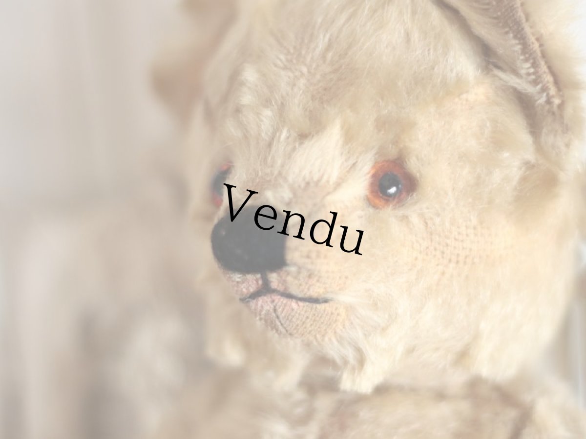 画像4: Size Cute! Chad Valley Bear /12in /British (4)