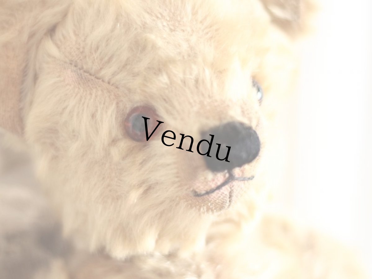 画像3: Size Cute! Chad Valley Bear /12in /British (3)