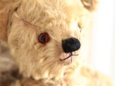 画像3: Size Cute! Chad Valley Bear /12in /British (3)