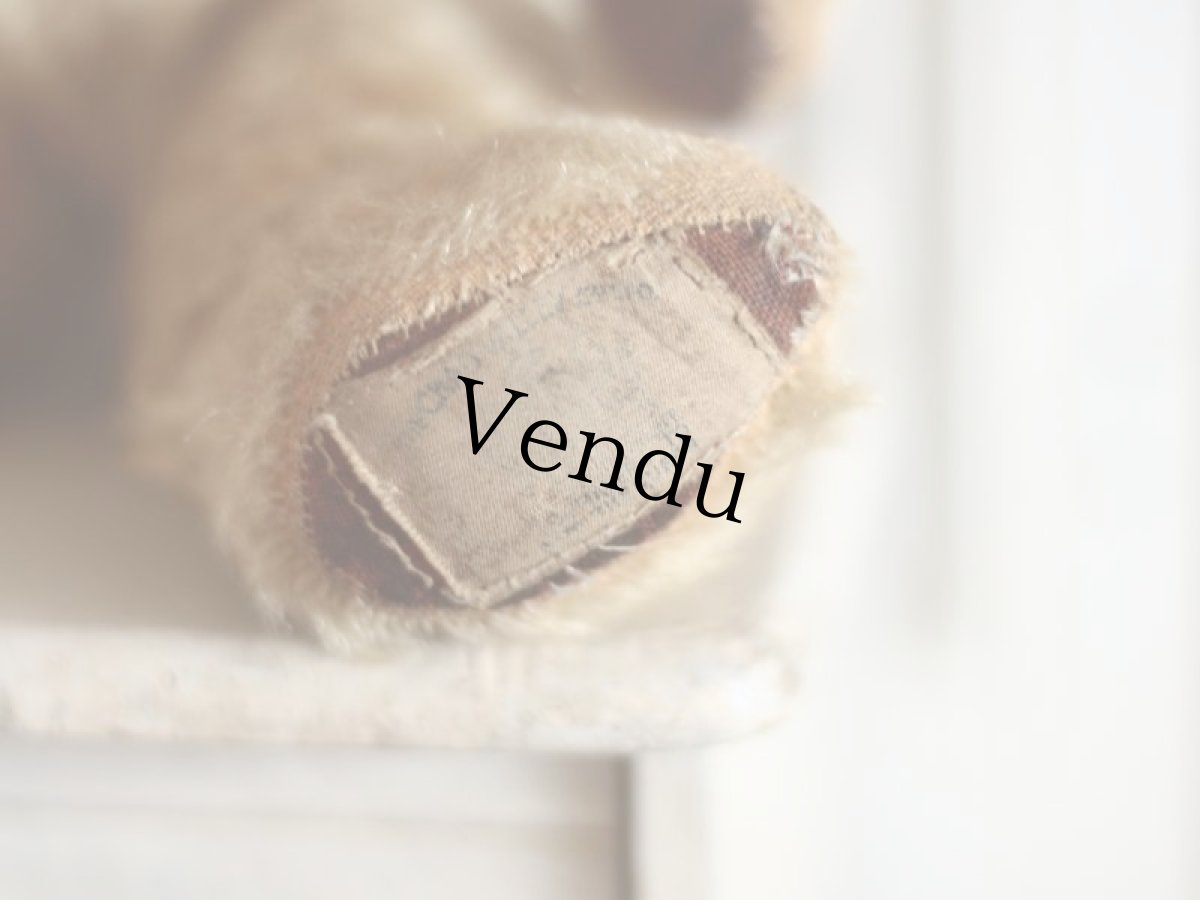 画像10: Size Cute! Chad Valley Bear /12in /British (10)