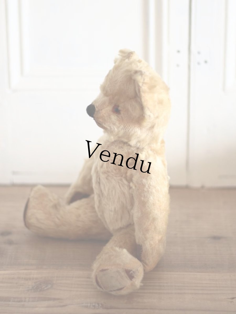 画像8: Size Cute! Chad Valley Bear /12in /British (8)