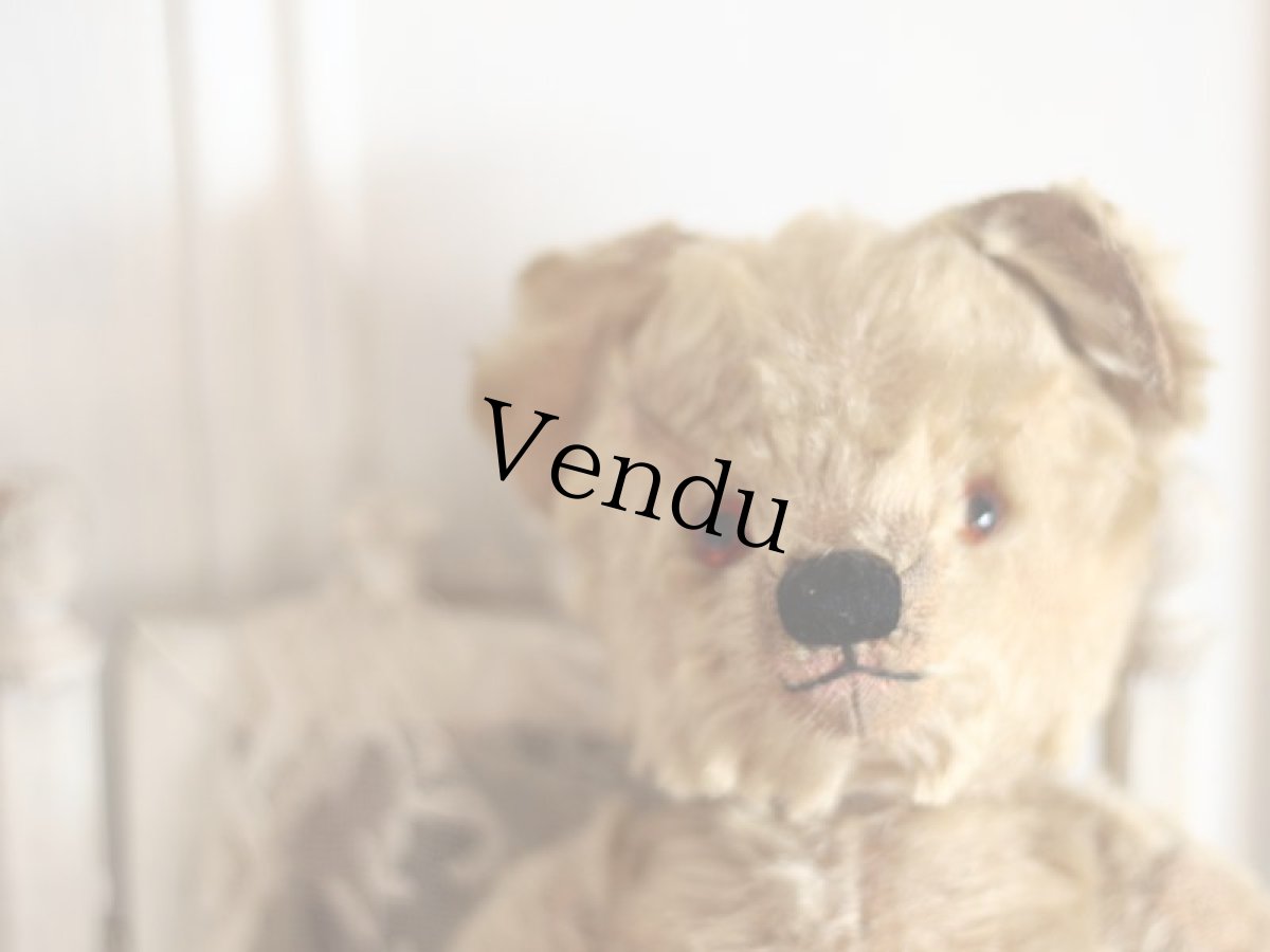 画像2: Size Cute! Chad Valley Bear /12in /British (2)