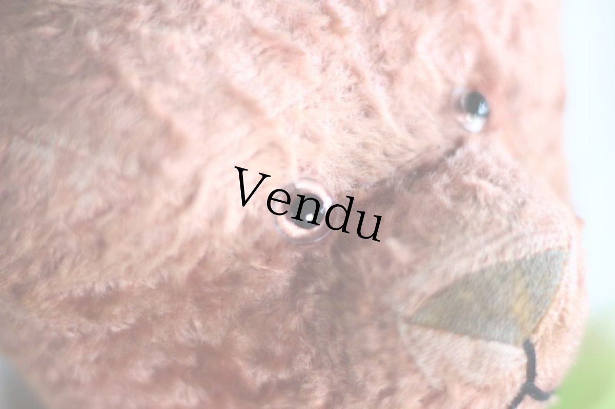 画像5: Cute!! French Antique Pink Bear / France (5)