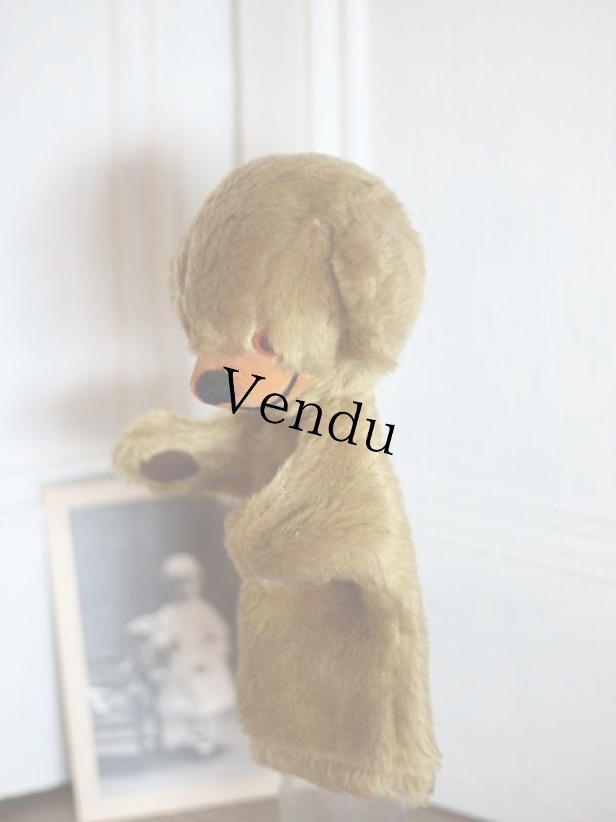 画像6: Cheeky Bear Hand Puppet / Merrythought  (6)