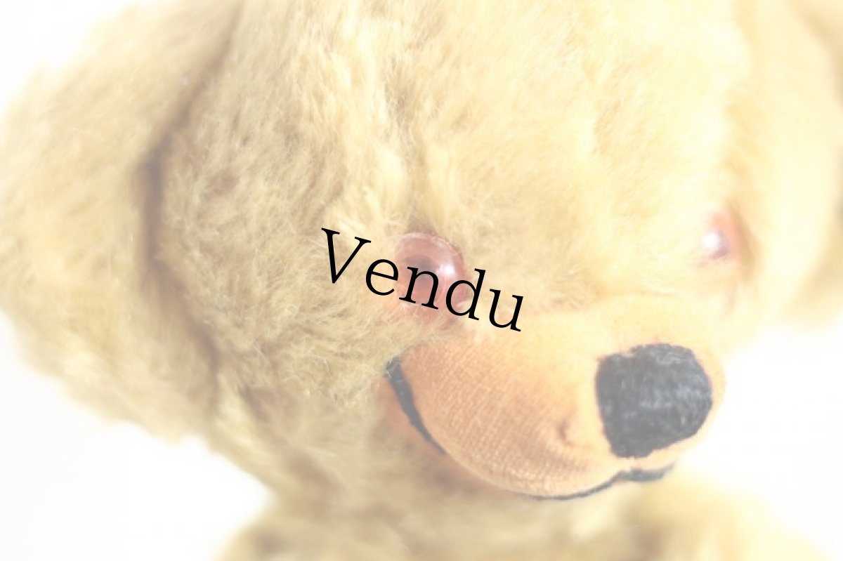 画像4: Cheeky Bear Hand Puppet / Merrythought  (4)