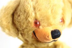 画像4: Cheeky Bear Hand Puppet / Merrythought  (4)