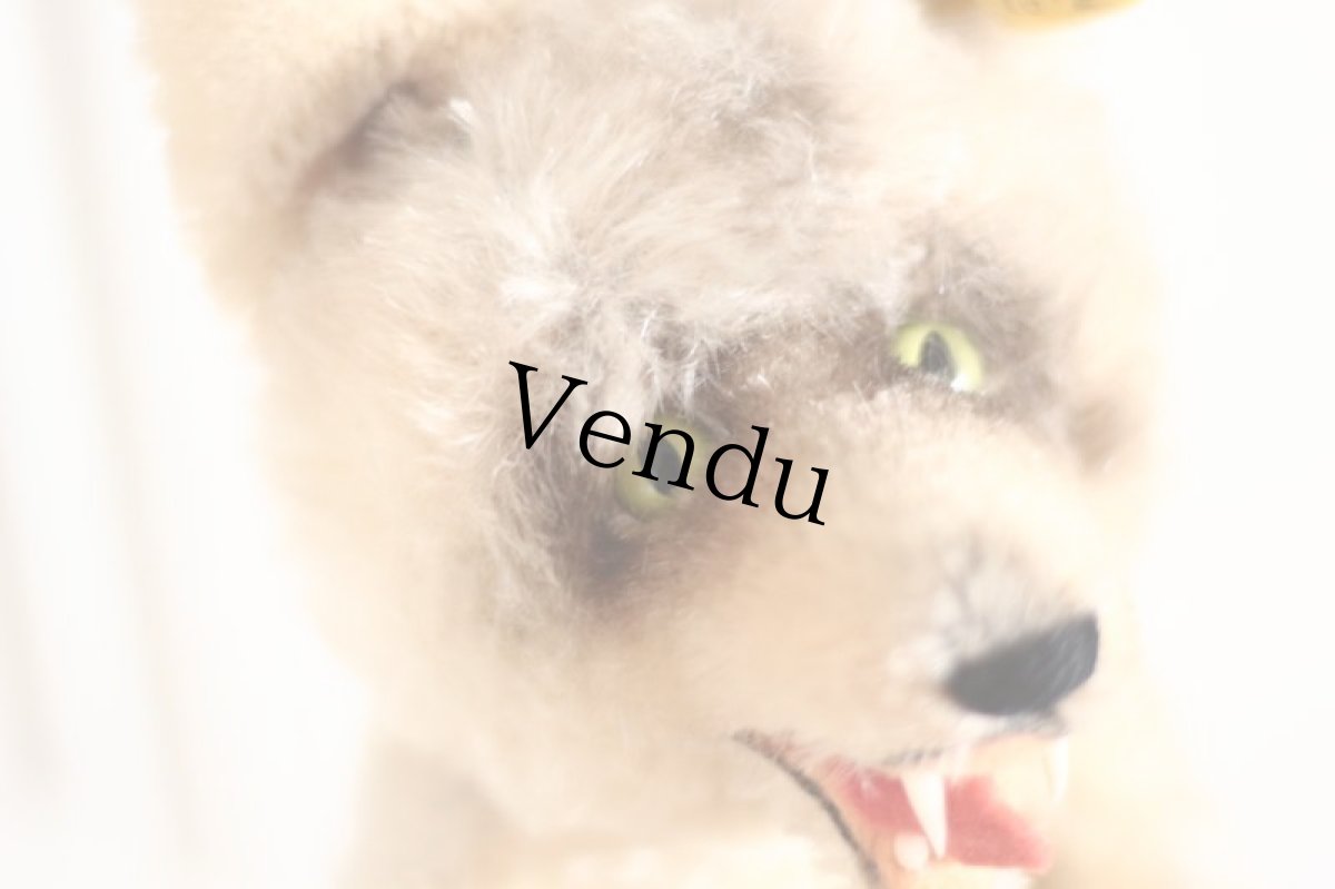 画像3: Rare!!LOOPY Hand Wolf /steiff (3)